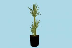 Plant houseplant, plant, plants