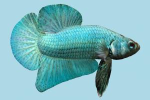 Fish fish, sea-creature, fishing, sea