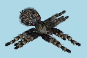 Web Spinner Resident-Evil, RE, spider, insects, resident, evil, monster, zombie, animal-character, xna, characters, rigged