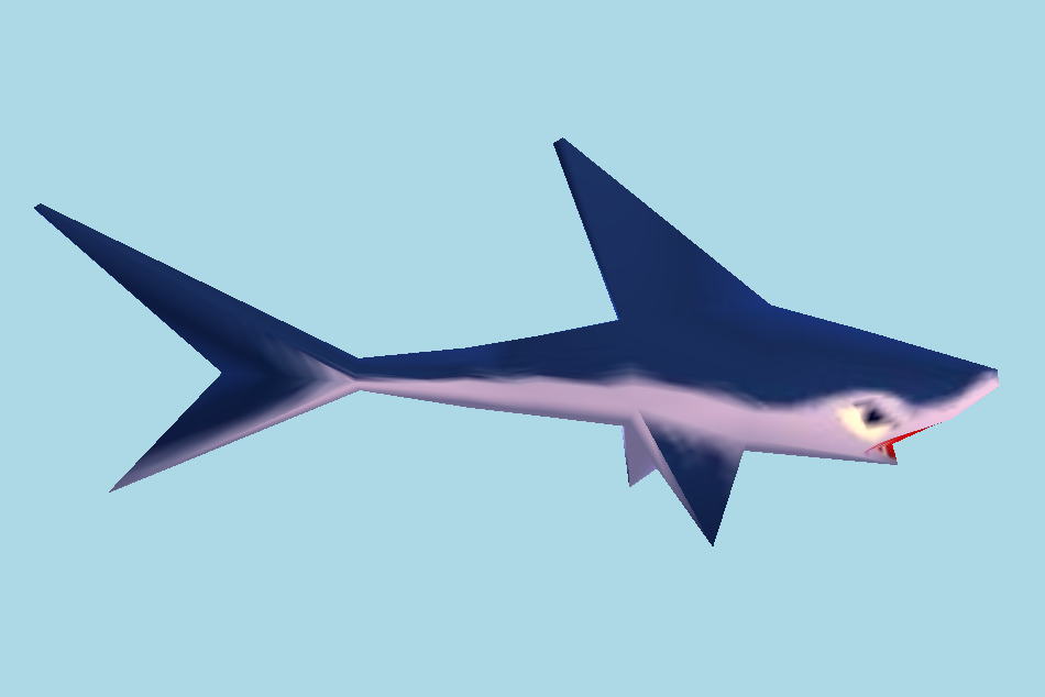Shark 3d model