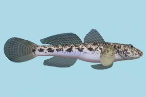 Fish fish, sea-creature, fishing, sea