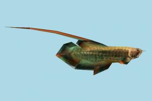 Fish fish, sea-creature, fishing, sea