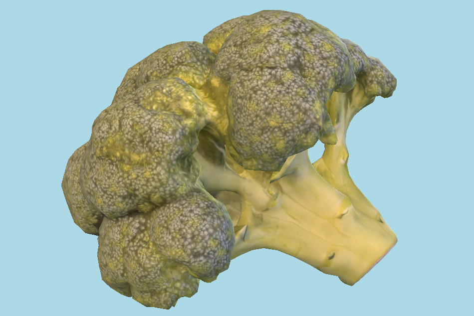 Cob of Broccoli 27 3d model