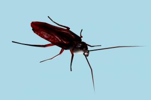Large Roach Resident-Evil, RE, insects, resident, evil, monster, zombie, animal-character, xna, characters, rigged