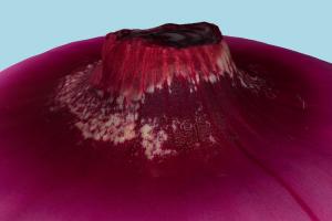 Onion Onion-2