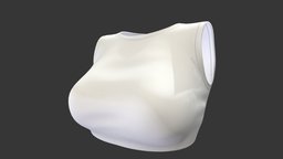 Female White Sleeveless Crop Top neck, white, fashion, girls, top, clothes, sports, fitness, gym, classic, exercise, summer, round, casual, womens, wear, crop, sleeveless, cropped, pbr, low, poly, female, bralet, bralette