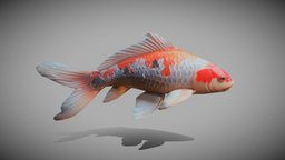 Koi Fish fish, prop, metaverse, koifish, koi-fish, asset, lowpoly, gameasset, animal, free