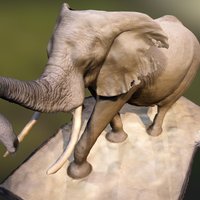 Elephant in the Rotunda elephant, natural, museum, tusk, rotunda, agisfot, photoscan, animal, agisoft-photoscan, history