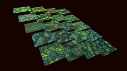 Grass Pine Forest 20 TEXTURES (Handpainted) #4 forest, grass, pine, nature, tileable, handpainted, game, texture