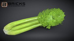 Celery celery, gamereadyasset, 3dgameasset, bricks3dstudio, vietnam3dartoutsource, celery3dmodel, celery3dasset, celerygameready, gamereadycelery