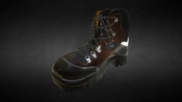 Boot shoe, boot