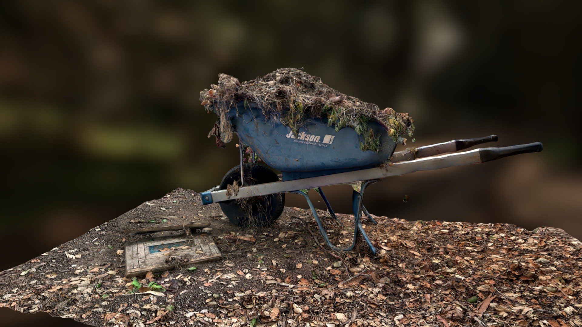 Scanned in Polycam, left scan raw to preserve detail. 4k color and roughness map, color used as bump 3d model