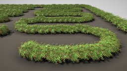 Raspberry Bush / Hedge (Test) geometry, baked, raspberry, bush, himbeere, node, hedge, wip-4, busch, 3dhaupt, low-poly, texture, blender3d, test, geometrynodes, noai, bramble-bush, himbeerstrauch