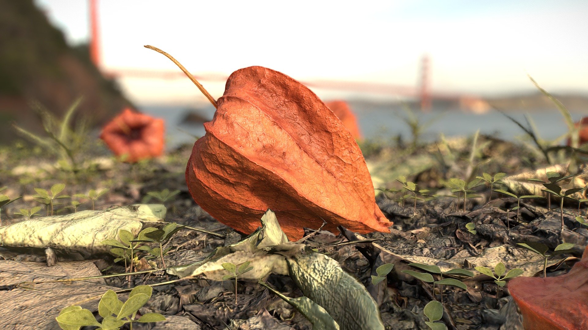 A good reference or gameobject to a computer game. 

4k difuse map, normal map, concavity map, ambient occlusion map&hellip;

Photogrammetry from 482/fruit 165/ground semi-automated photos with foldio 360 + CanonD70 3d model