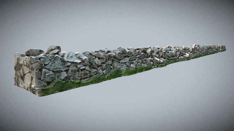 From a Nice 3D Scan here is the Low Poly Mesh... 3d model