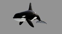 Orca fish, fishing, underwater, animals, shell, ocean, aquatic, orca, sealife, seafood, animal, animation, sea