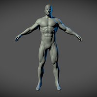 Superhero Basemesh anatomy, basemesh, superhero, athletic, heroic, proportions, man, zbrush, male