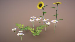 Bush, Daisies, Sunflower red, garden, flowers, sunflower, bushes, daisies, asset, is-growing