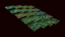 Grass: Pine Forest 20 TEXTURES (Handpainted) #1 forest, grass, pine, handpaint, floor, ground, nature, tileable, game, texture