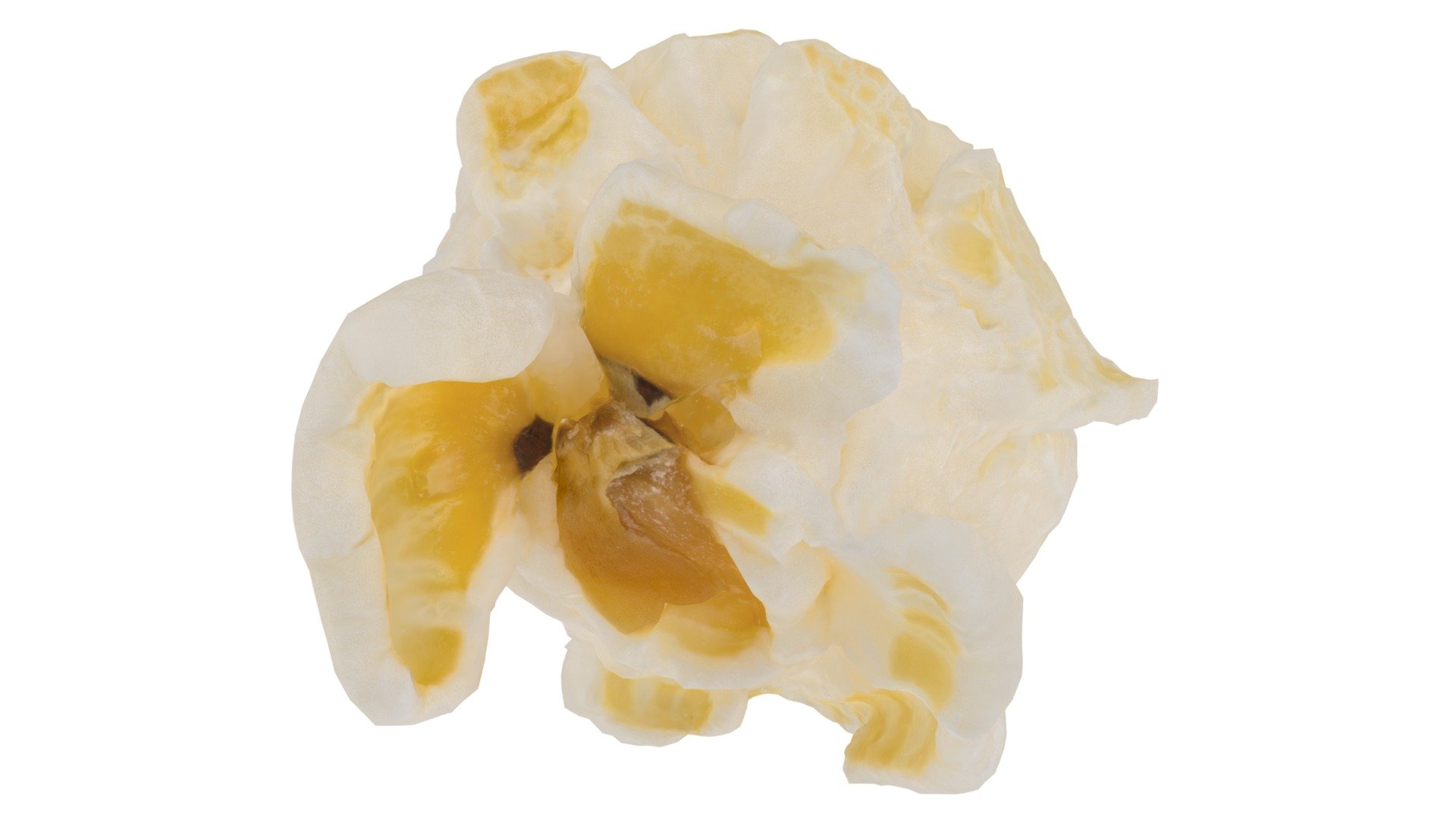 Highly detailed, photorealistic, 3d scanned model of a popcorn. 8k textures maps, optimized topology and uv unwrapped.

Model shown here is lowpoly with diffuse map only and 4k texture size.

This model is available at www.thecreativecrops.com 3d model