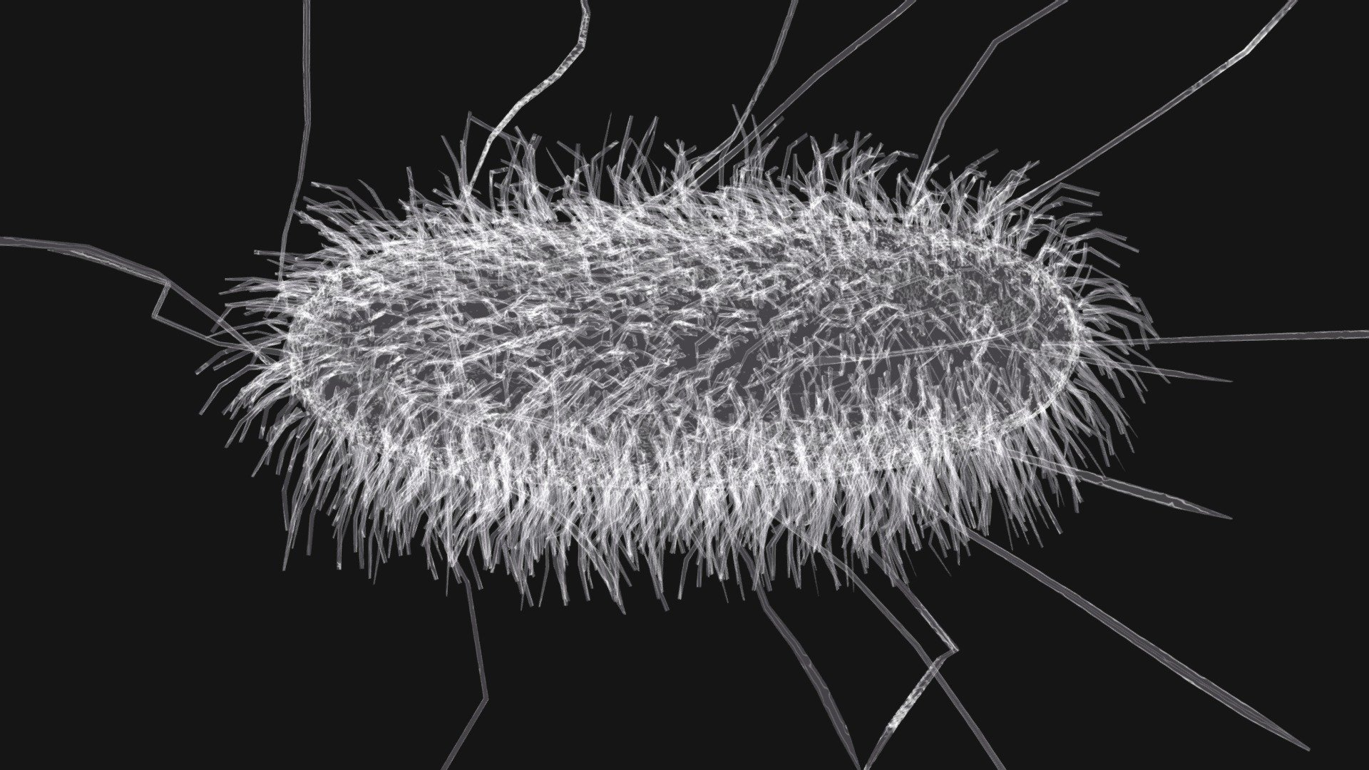 Originally modeled in Cinema 4D R 21 + Zbrush 2020



Maps for E Coli
- BaseColor
- Metallic
- Roughness
- Normal
- Ambient Occlusion



SCALE:
- Model at world center and real scale:
       Metric in centimeter
       1 unit = 1 centimeter



Texture resolution 2048x2048
Texture format PNG



Poly Count :
Polygon Count - 30657
Vertex Count - 53938
No N-Gons - E Coli - Buy Royalty Free 3D model by zames1992 3d model