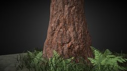 Massive -- Redwood Style -- Tree tree, landscape, flora, big, huge, leaf, nature, california, redwood, game