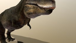 Tarbosaurus tyrannosaur, lizard, teeth, dinosaurs, creature-monster, tarbosaurus, 3d, dragon, dinosaur, dino