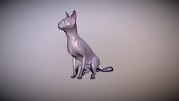 sphynx cat cat, walking, teeth, sphynxcat, animal