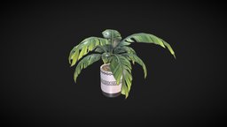 Plant office, plant, props, digitalart, digital3d, potplant, props-game, pbr-texturing, pbr, stylized, decoration, leaves