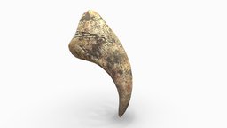DINOSAUR CLAW skeleton, animals, bone, claw, lopoly, fossil, paleontology, reptile, virtual-reality, augmented-reality, dinosaur, dino-claw