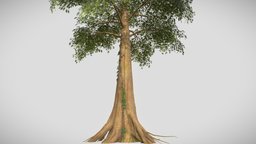 Jungle Tree tree, landscape, jungle, unrealengine, speedtree, unity, game, gameart, gameasset