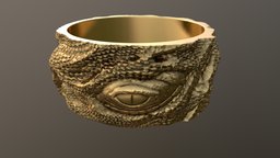 Lizard Ring eye, lizard, snake, reptile, animal, ring, skin