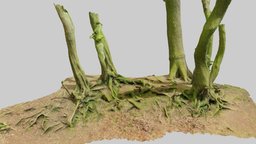 Beech Oak Roots Tree Big Scan tree, landscape, oak, big, huge, cgi, leaf, trunk, scanned, models, nature, lot, mossy, roots, beech, bork, photoscan, 3d, pbr, lowpoly