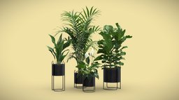 Indoor Plants Pack 69 pot, tropical, palm, indoor, exotic, potted, metal, fiddle, howea, forsteriana, spathiphyllum, ficus, lyrata, interior, aspidistra, peacelily, fiddleleaf
