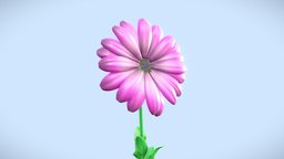 African Daisy green, landscape, flower, garden, prop, plan, shrub, seed, outdoor, enviroment, nature, petal, stem, botanical, asset, daisey