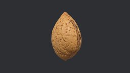 Almond Unshelled 1 dae, food, visualization, realtime, cook, bake, obj, nut, vr, ar, eat, snack, fbx, realistic, visualisation, healthy, runtime, almond, photogrammetry, blender, unshelled