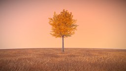 Tilia Tree tree, flora, baum, vegetation, linde, game-ready, blender-3d, herbst, vis-all-3d, 6-meter, 3dhaupt, low-poly