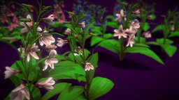 Flower Fritillaria Stenanthera plant, flower, vegatation, asset