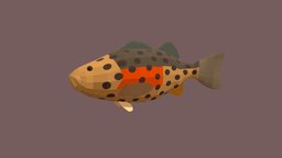 Giant Sea Bass fish, fishing, river, underwater, animals, lake, ocean, aquarium, aquatic, sealife, oceanlife, fish-cartoon, giant-sea-bass, low-poly, animal, animated, simple, sea
