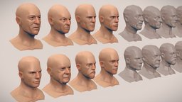 Depicardstathamrockcruise heads, patrick, basemesh, stewart, picard, statham, deniro, lowpoly, rock, tomcruise