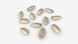 Sunflower seeds 02 food, raw, cereal, sunflower, natural, seed, snack, nature, grain, 3d, pbr