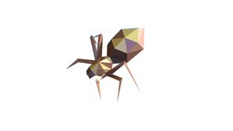 Animated Spider LowPoly Art Insect insect, spider, bug, polygonal, tarantula, arachnid, lowpolygon, bugs, insects, lowpolyart, araneae, lowpolymodel, arthropoda, arthropods, art, lowpoly, animated, polygon, chelicerae, opisthosoma, mesothelae, tarantulas