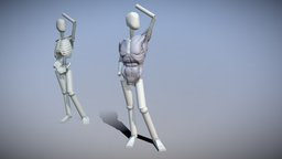 Anatomy part 1 body, anatomy, reference, ecorche, pelvis, ribcage, anatomy-reference, sceleton