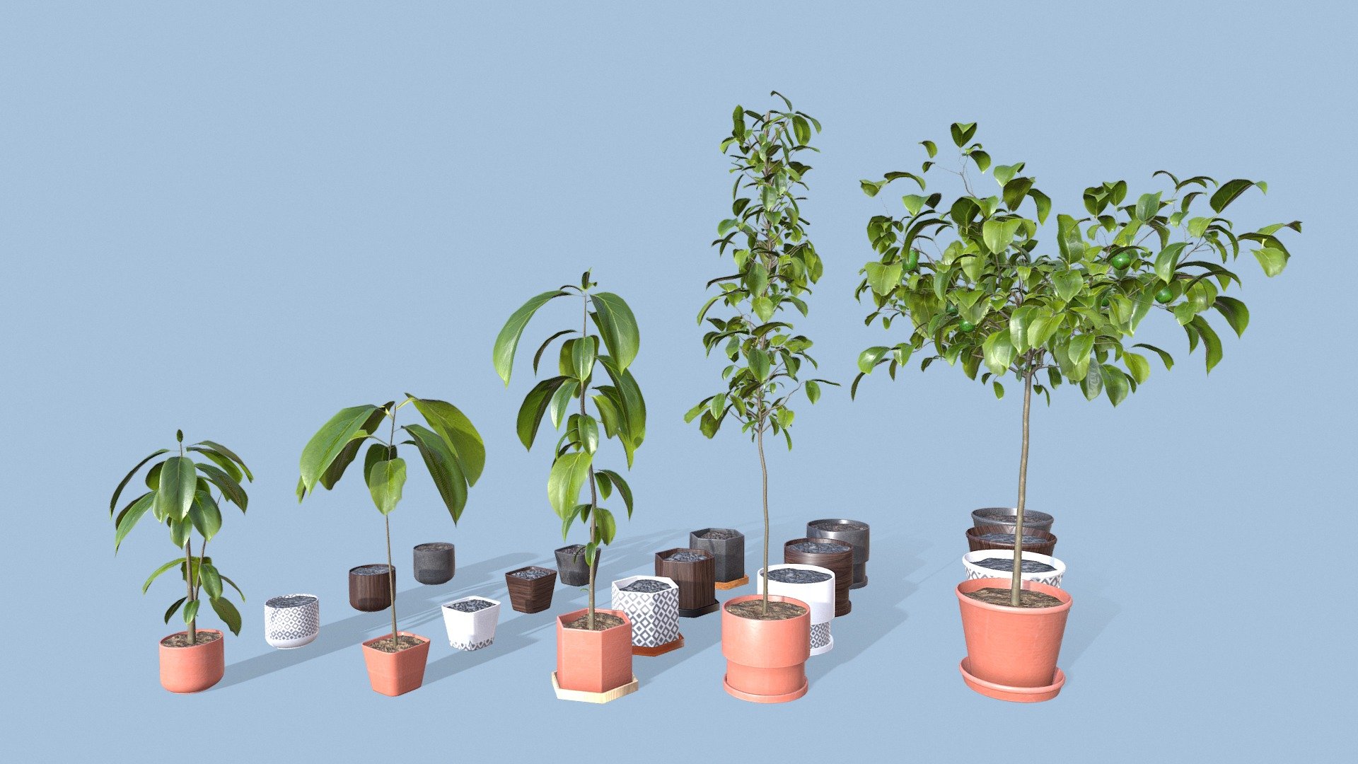 Collection of Avocado Trees  Plants Vol 05 , 
Collection 5  models of avocado trees 
Collection of 4 decorative pots and vases , each one 4 style all objects 
Download includes .obj ,.fbx, ,blend 
file for each object. Textures: 2K PBR






