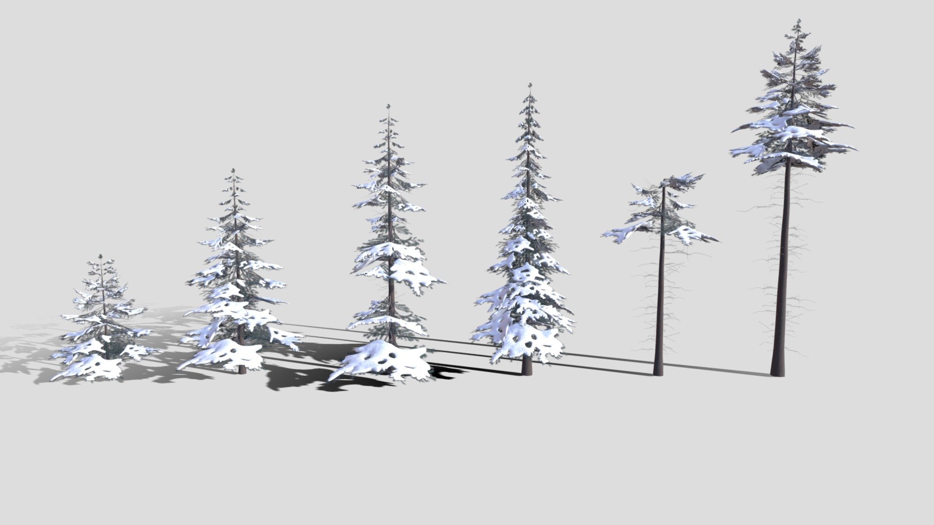 Hi all,

This is PBR Low Poly Snowy Spruce Tree Pack. The file includes 6 models in real world scale (8m - 24m).

The product has 154491 polygons.

It comes in following formats:
.blend
.fbx
.obj
.dae

The blender file has the shaders set up, so it's ready to render using Cycles and Eevee.
It also comes with set of 4K .png maps:
base color
roughness
normal
opacity
translucency