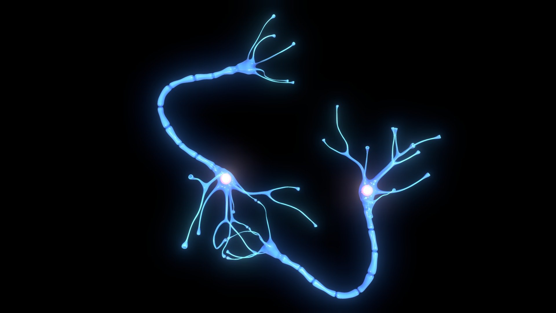 Originally modeled in Cinema 4D R 21

Maps for Nerve Cell Anatomy In Details




BaseColor

Metallic

Roughness

Normal

Ambient Occlusion

Emissive

Opacity

SCALE:
- Model at world center and real scale:
       Metric in centimeter
       1 unit = 1 centimeter


   Texture resolution:

Ambient Occlusion    2048x2048
Texture format PNG

Poly Count :
Polygon Count - 98748
Vertex Count - 99080
No N-Gons