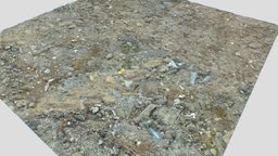 Dirt Terrain PBR Pack 15 Textures forest, terrain, mud, ground, rough, wasteland, dirt, puddle, dirty, soil, muddy, seamless, pbr, rock