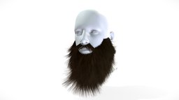 Moto Rider Long Big Beard face, hair, style, barber, rocker, survivor, raider, head, facial, bearded, hairy, homeless, haircut, hairstyle, bigbeard, barba, man, male, longbeard, barbado, face-beard, facial-hair
