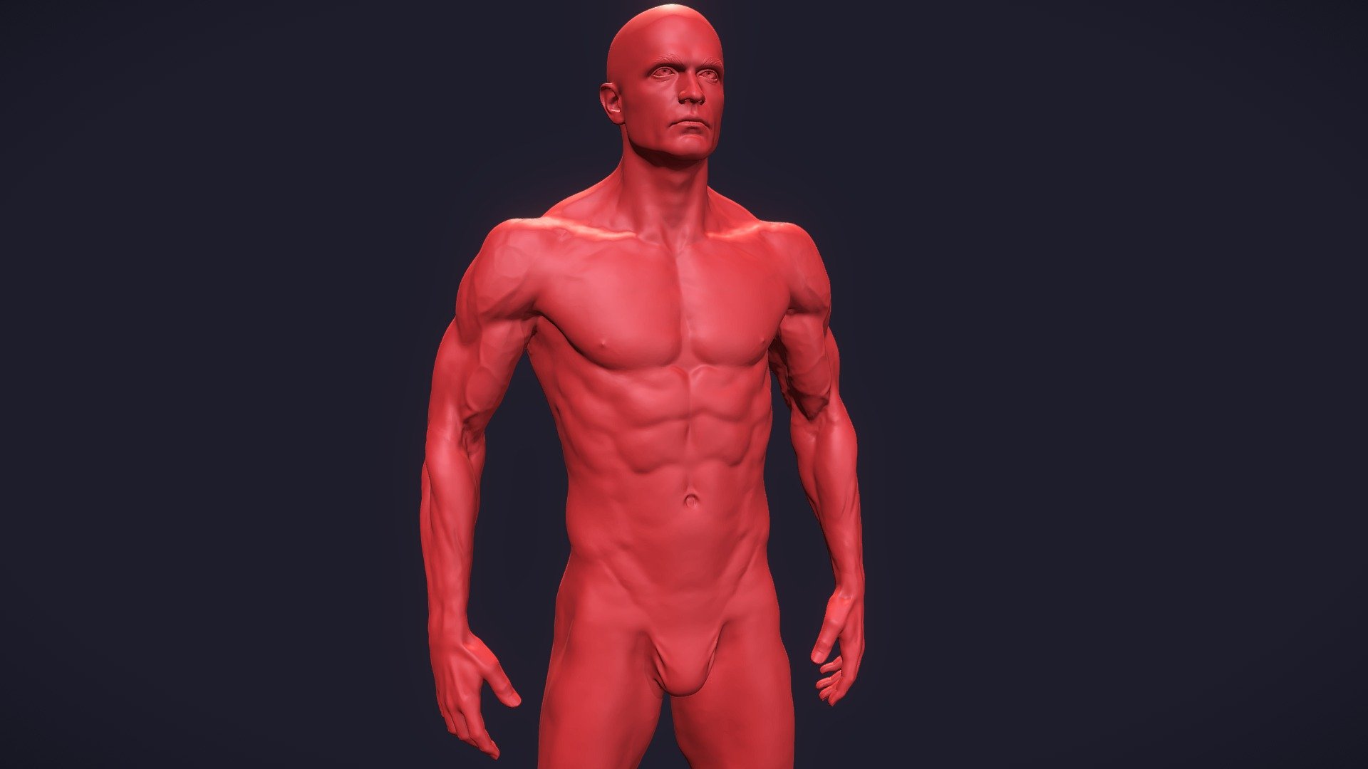 

3D Printable Superhuman Body Sculpt created in Zbrush;

Realistic anatomy based on 3d scan data;

OBJ file format with decimated topology;

Hope you will like it!
