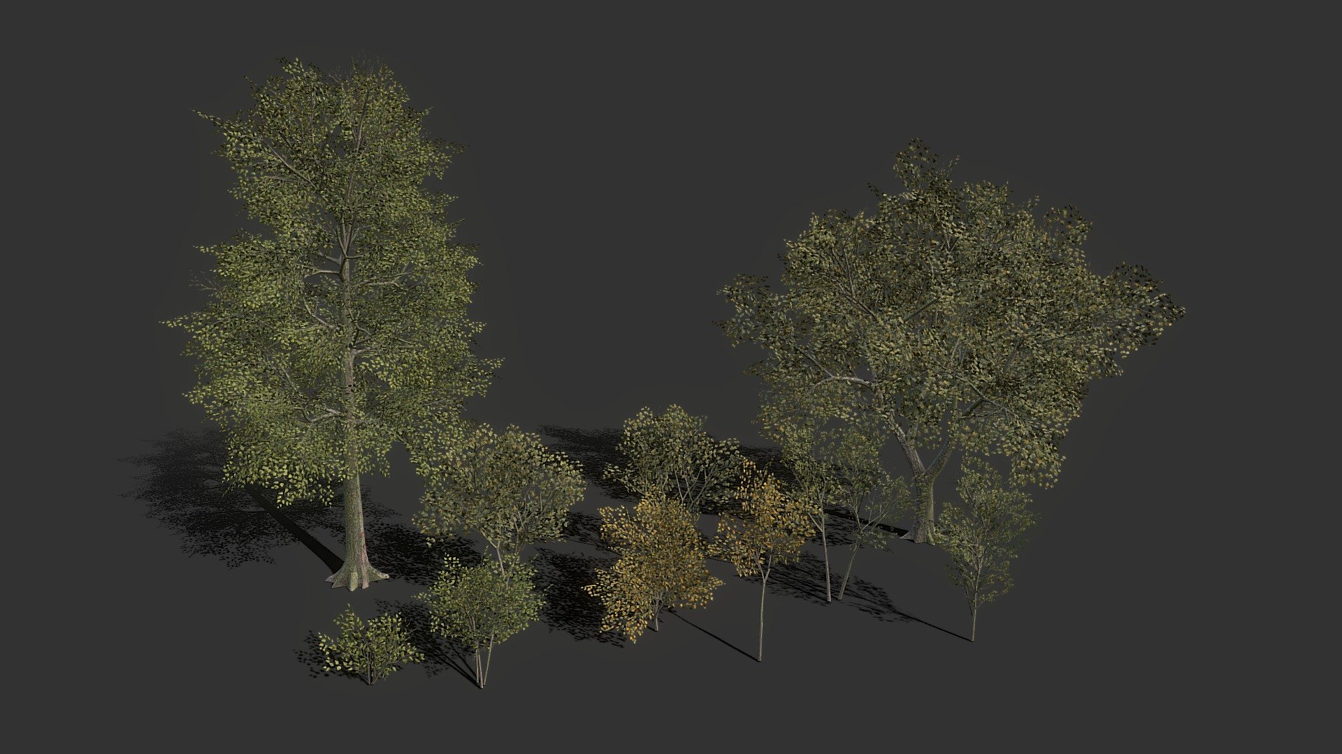 Tree pack!

Low-Poly, Game Ready, Mobile!

1 Texture Atlas 4096x4096 for all Models on pack!